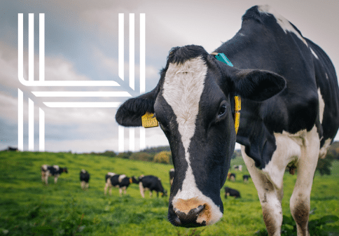 Our Five Key Takeaways from the 2025/26 Marketing to Farmers Report fallback banner
